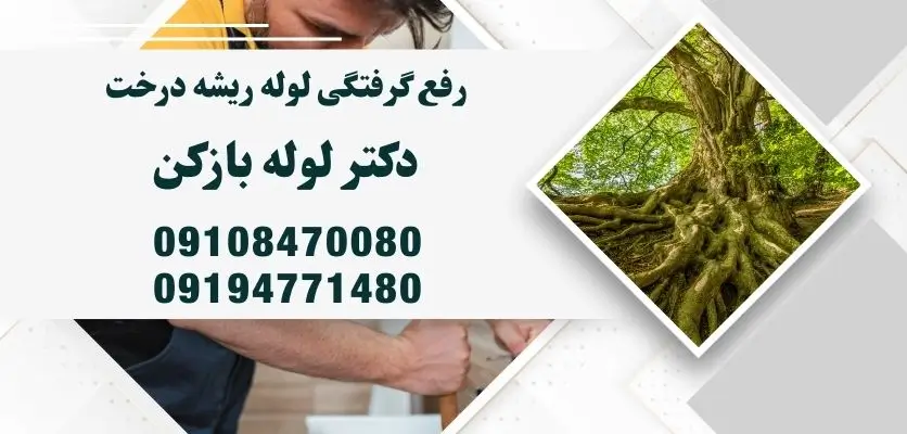 رفع گرفتگی لوله ریشه درخت