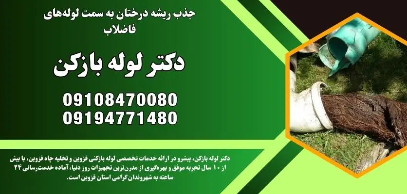 جذب ریشه درختان به سمت لولههای فاضلاب